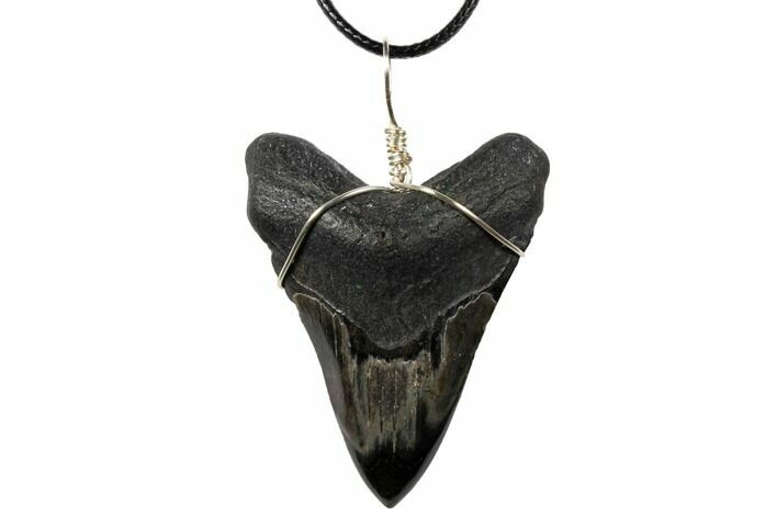 Fossil Megalodon Tooth Necklace #130981